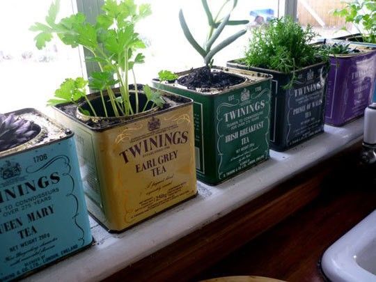 Make a kitchen garden now. Image Source: Google