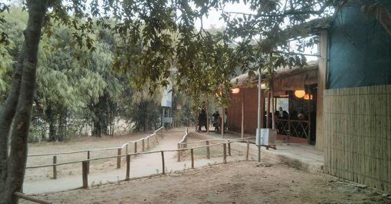 Roots – Café In The Park