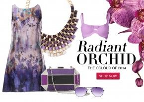 Radiant orchid collection by Limeroad