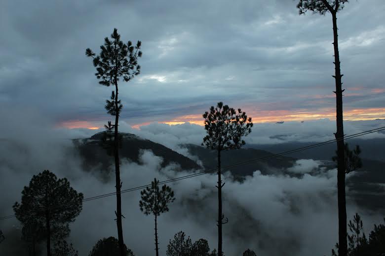 Pauri