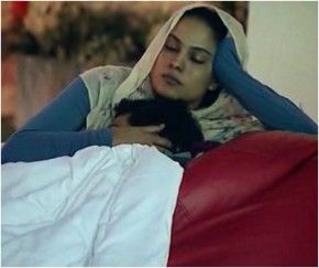 Veena Malik and Ashmit Patel