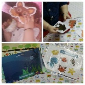 Wonderboxx mask, flash cards and stickers