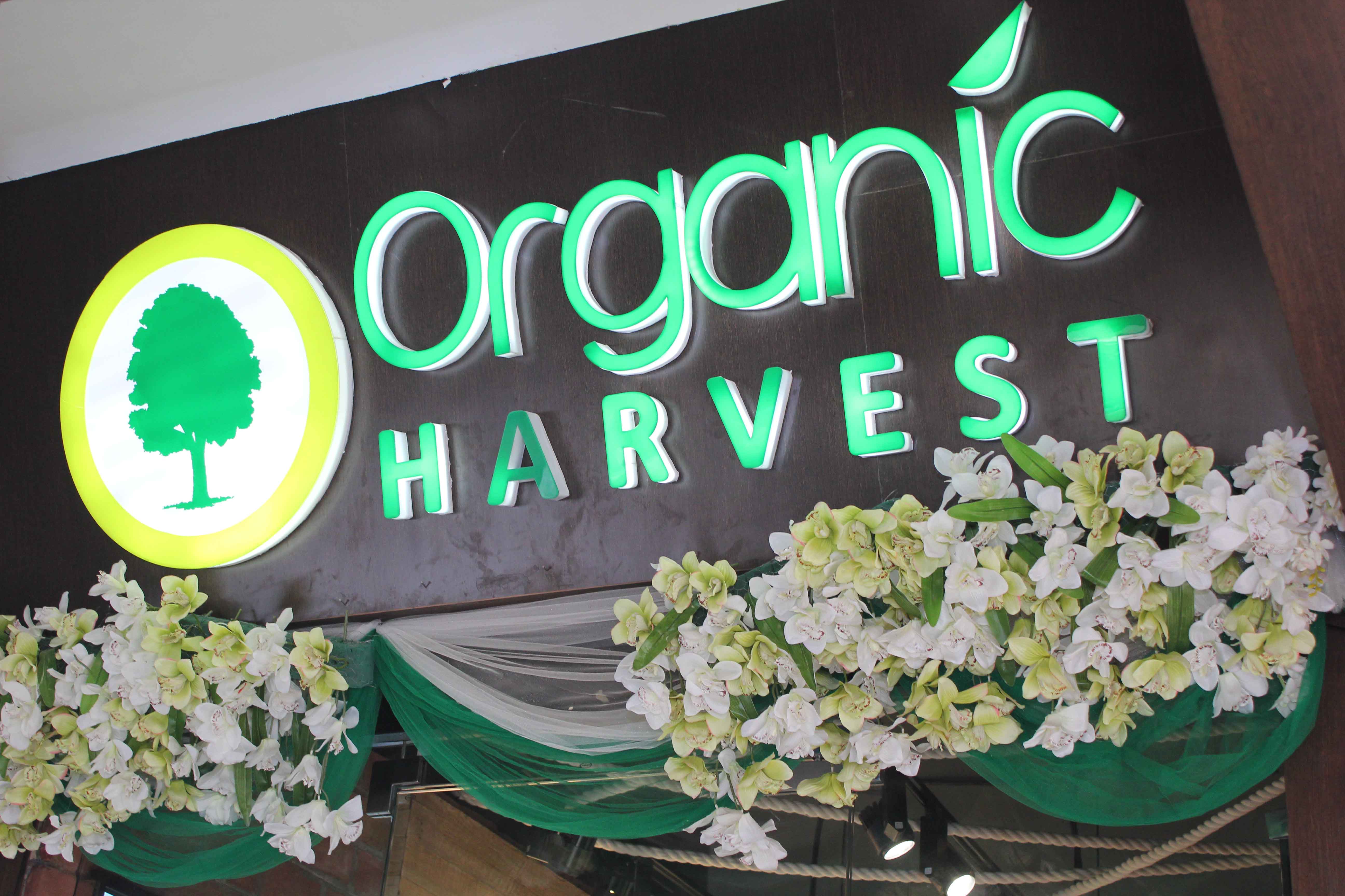 Organic Harvest store launch