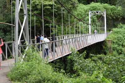 Hanging Bridge