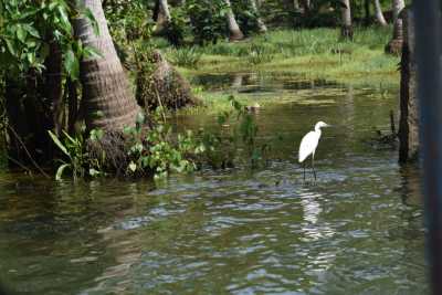 Bird spotting during the boar ride