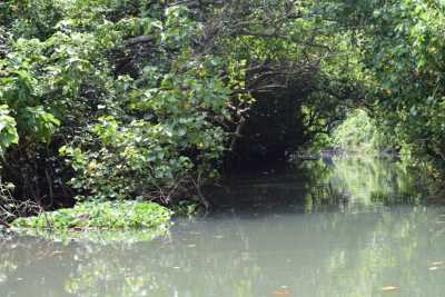 The narrow lanes at the backwaters