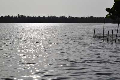 Backwaters beauty