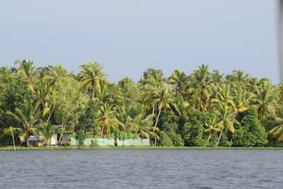 Serenity and the splendour of the backwaters 