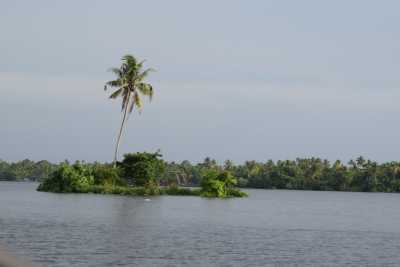 Green, glassy backwaters of Kerala