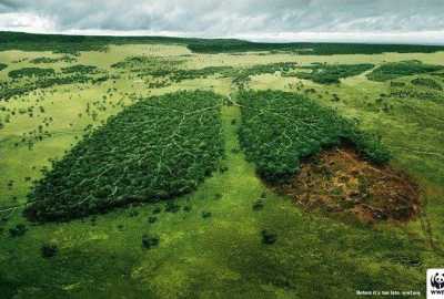Save the environment 