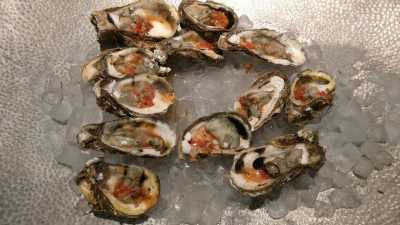 Oysters 