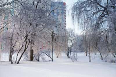 Snow in January