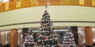 The Christmas tree at Radisson Blu Plaza