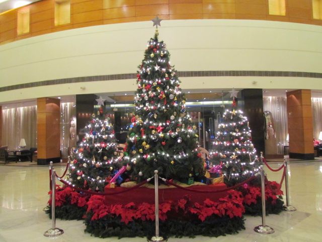The Christmas tree at Radisson Blu Plaza