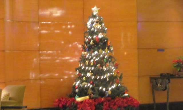 The Christmas tree at Radisson Blu Plaza