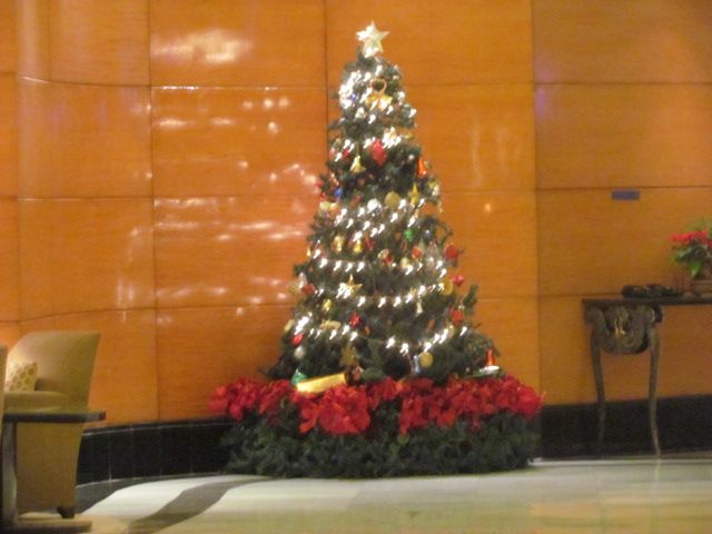 The Christmas tree at Radisson Blu Plaza
