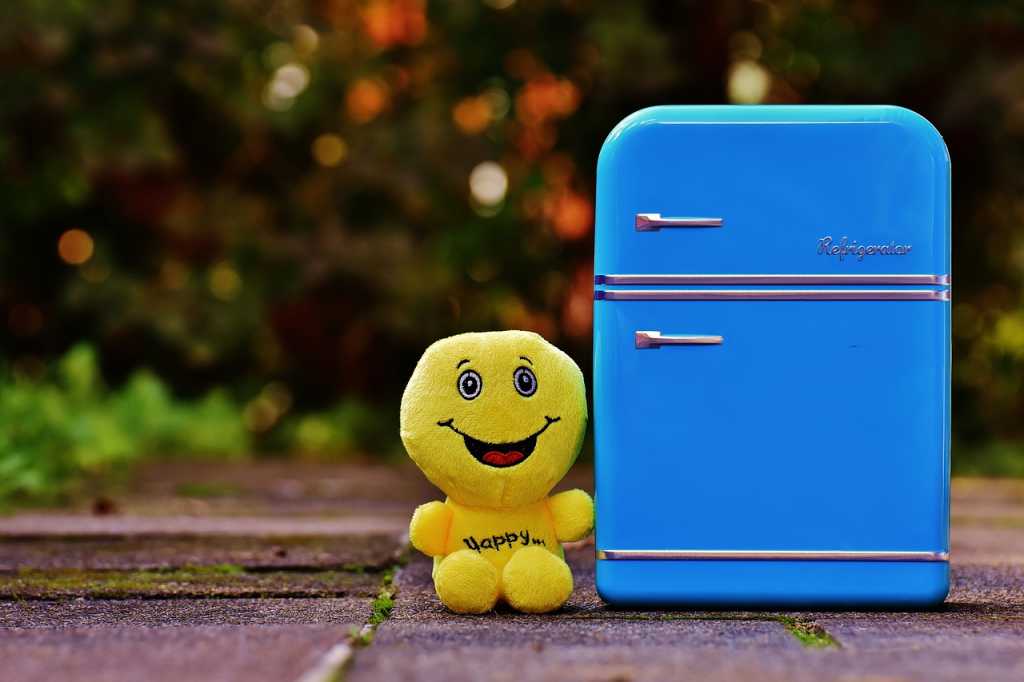 Clean fridge equals good health