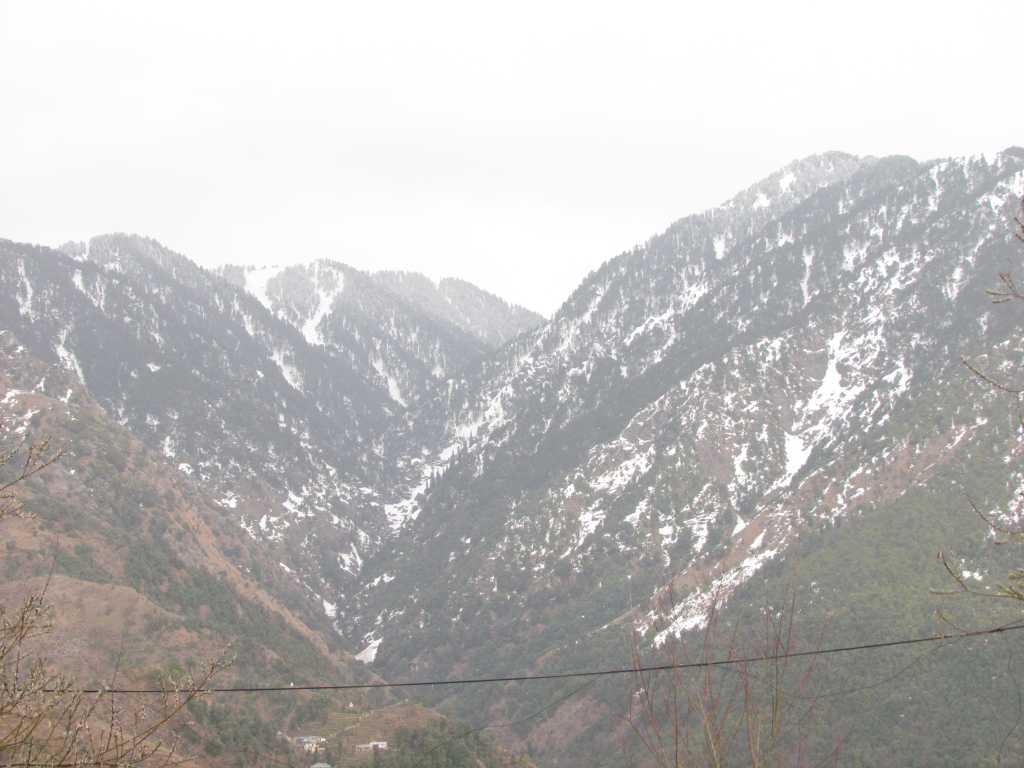 Snowfall in McLeodganj