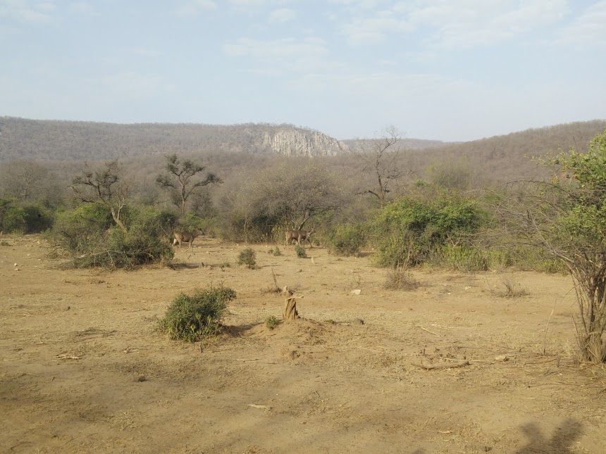 Sariska