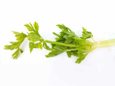 celery