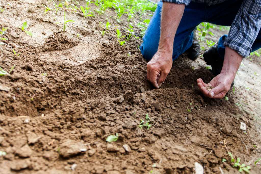 Gardening 