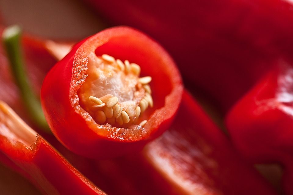 Guinea spice or red hot chili pepper