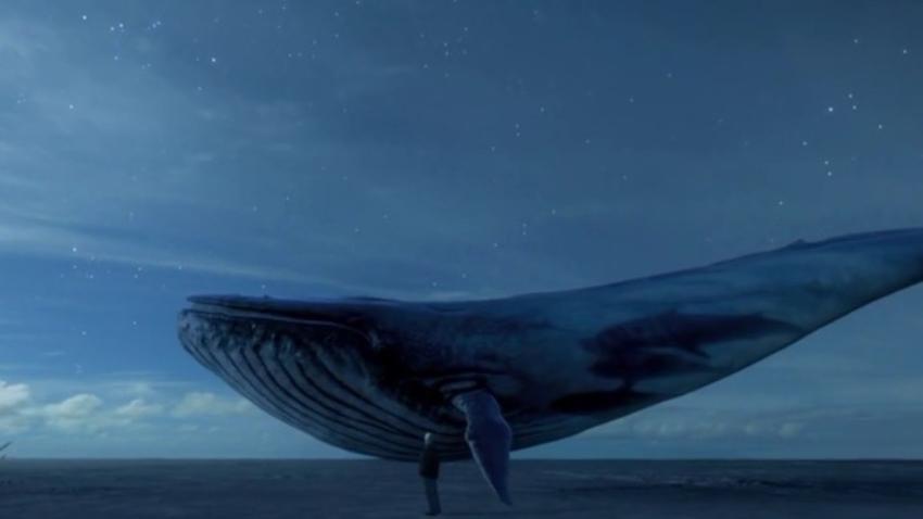 Blue whale game