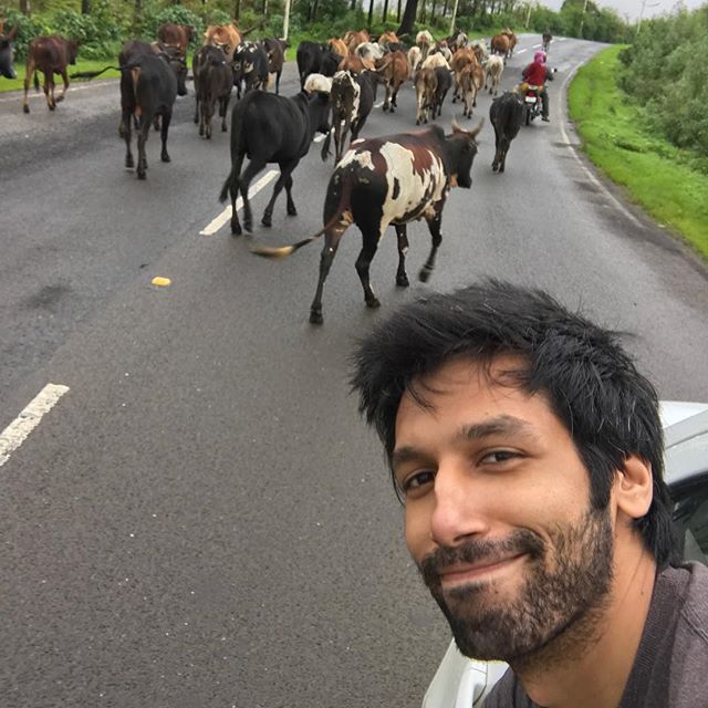 Kananan gill