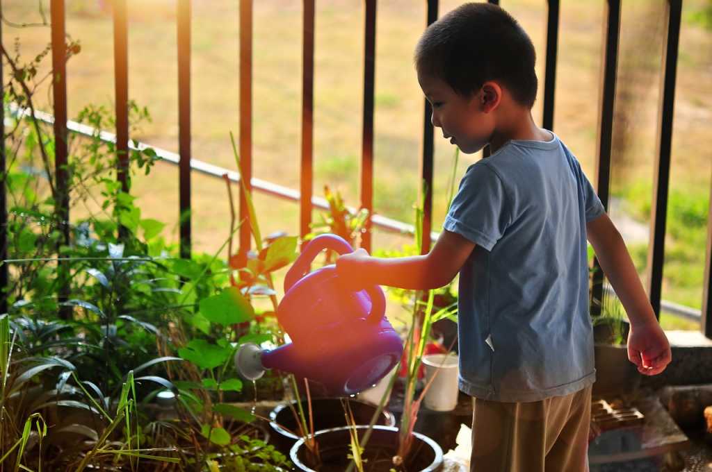 Learning gardening