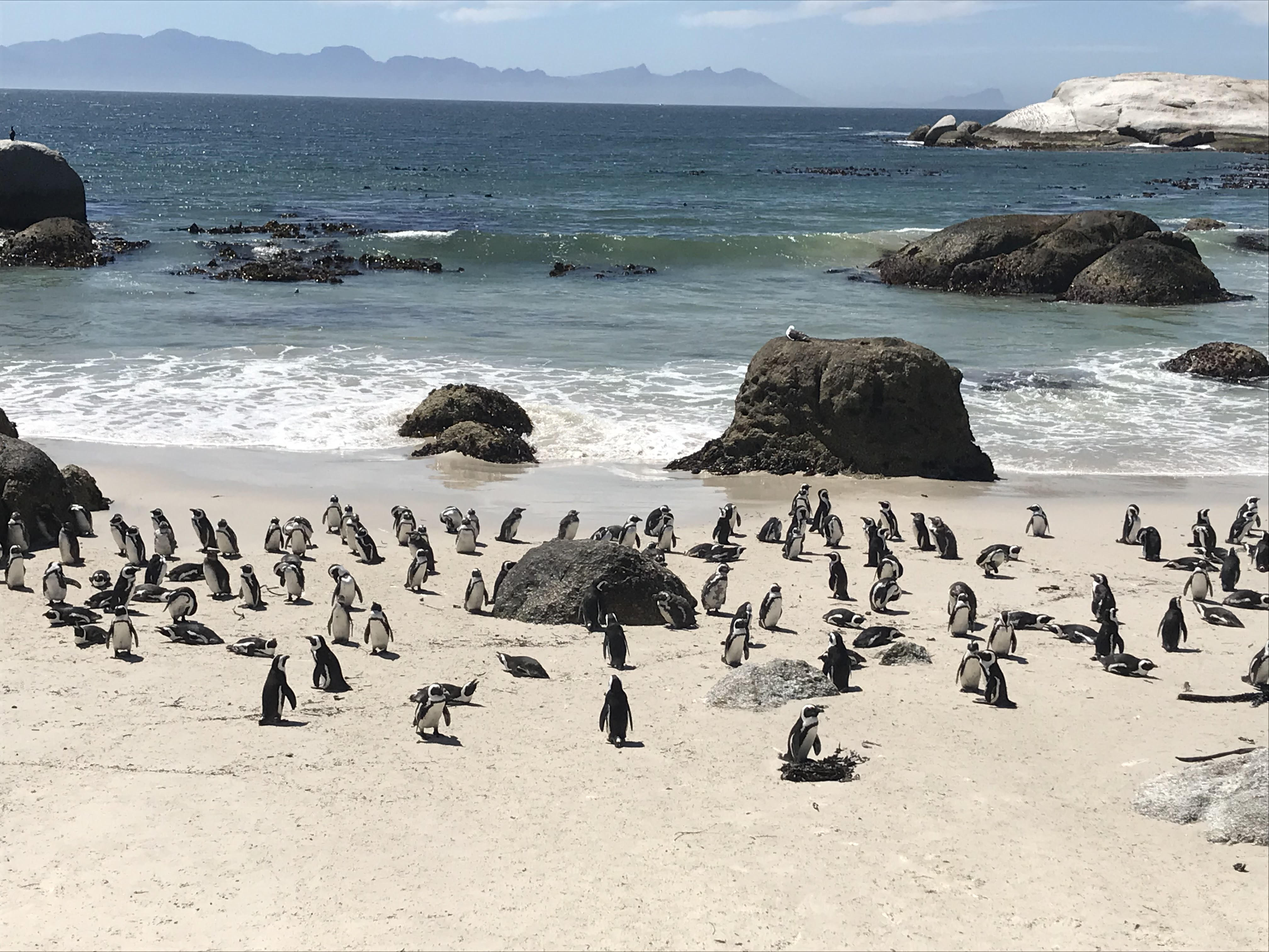 Boulder Beach