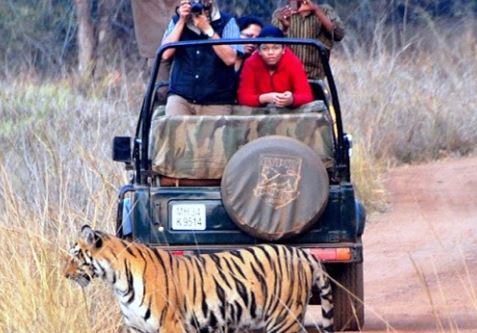 Tadoba National Park