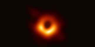 First picture of Black Hole turn into memes