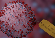 India Reports Its First HMPV Virus Case: What You Need to Know