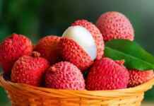 Refreshing Litchi Mocktails to Beat the Summer Heat